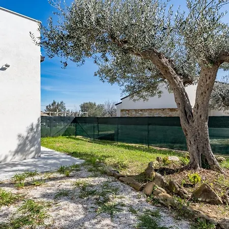 Apartament Clalu 2 *